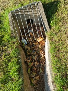 Drain of the stream clogged with litter, leaves and other items.