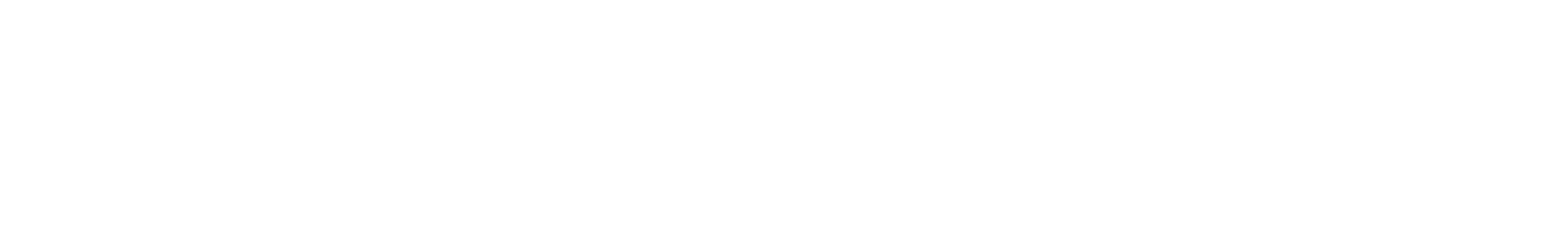 SPACEMAKERS LOGO (MYRIAD BOLD ITALIC) WHITE(1)