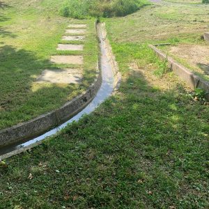 WhatsApp Image 2024-08-23 at 15.51.46_be490095